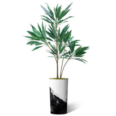 66 plantes
