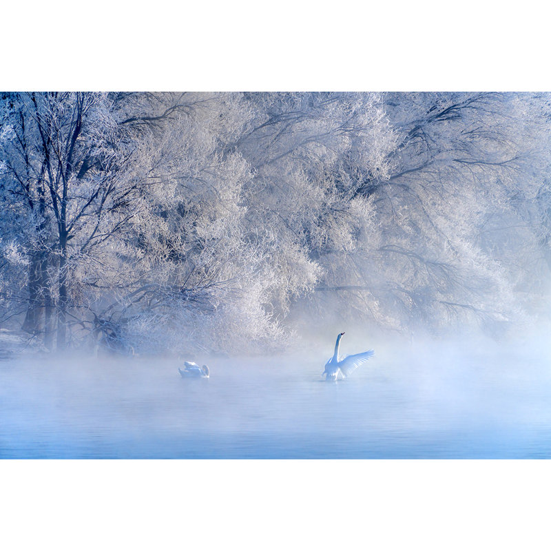 Wrapped Canvas Print, 60.96 cm H x 91.44 cm W