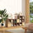 Storage Bookshelf - Multifunctional Display Shelf for Living Room, Bedroom & Home Office-1318398432-1314191593-1331273410
