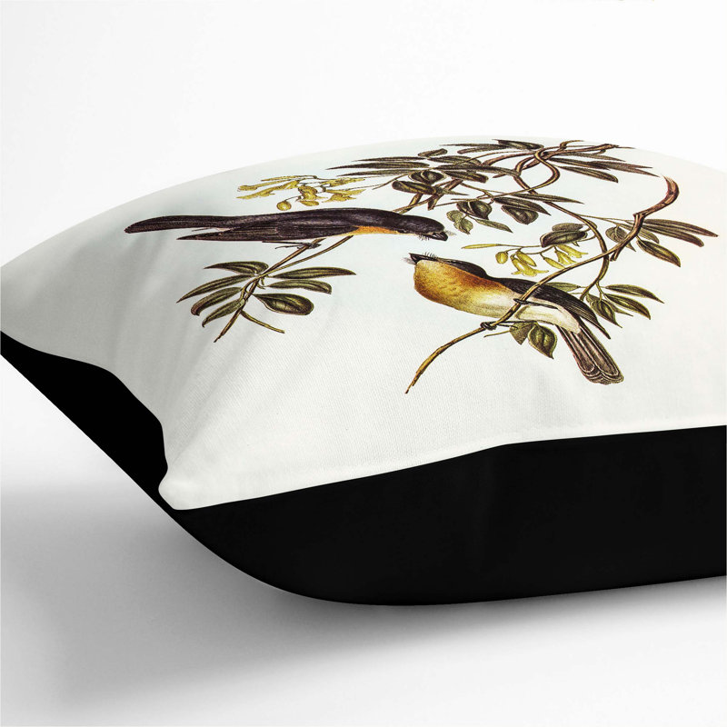 Broad-Billed Flycatchers Square Throw Cushion, 40cm H x 40cm W x 15cm D, Black