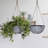 Boxdale Hanging Planter-132602328-26906938