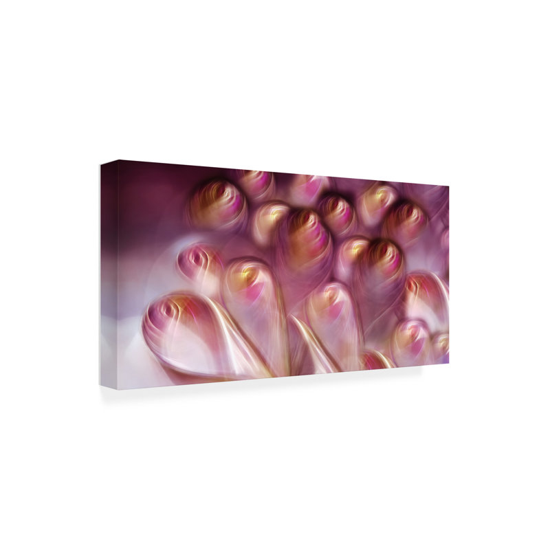 Art sur toile «Rose Heuds», H 12 po x l 24 po