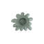 «Compactum Succulent», art mural-64430350