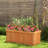 Arlmont & Co. Raised Garden Bed Fir Wood Rectangle Planter Box With Drainage Holes Orange