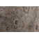 Museum Oriental Area Rug in Pewter