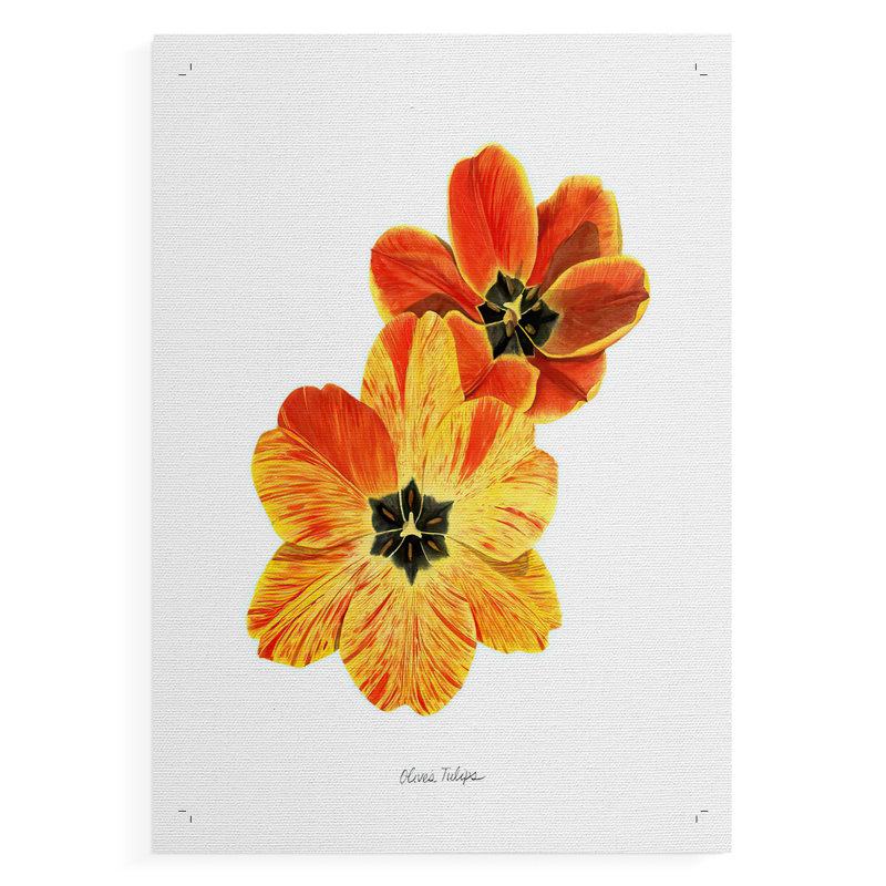 Olive's Tulips II - reproduction de toile seulement - non encadrée, H 18 po x l 12 po