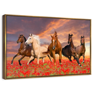 Mustang Horses