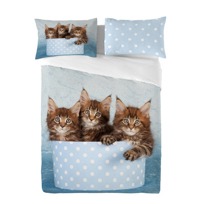 Modern & Contemporary Cotton Duvet Cover