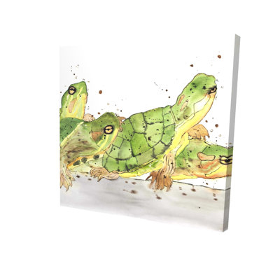 Small Aquatic Turtles Canvas | Brown Home Decor Art