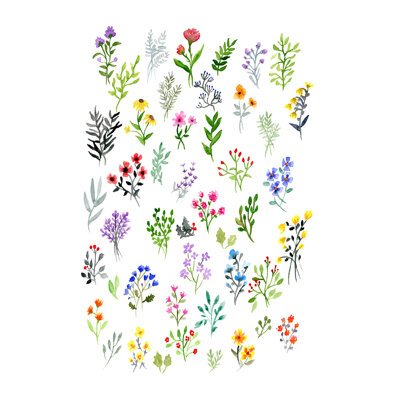 "Botanicals" par Leah Tedesco sur