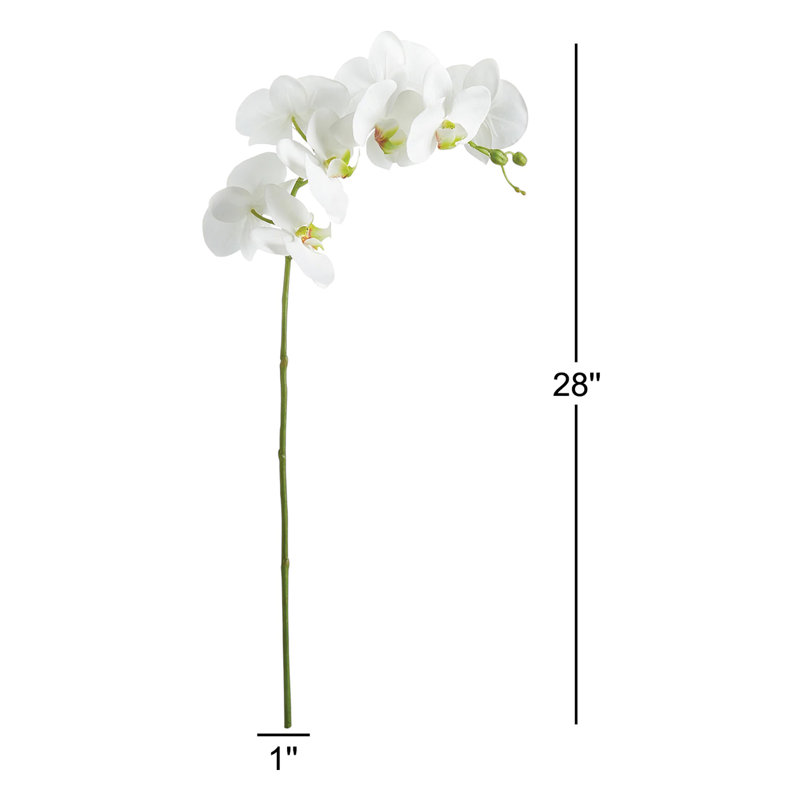 PHALAENOPSIS ORCHID STEM 28", White