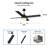 Aristodemo 52'' Ceiling Fan with LED Lights