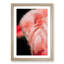 Pink Flamingo - Picture Frame Painting Print-55583964-55583967