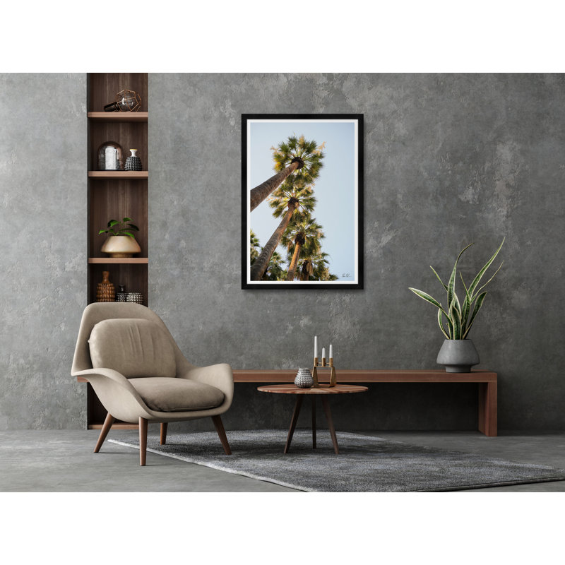 National Garden Palms II Framed Photographic Print