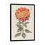 «Vibrant Mums III», impression sur toile tendue-29052584-72800953-72800955