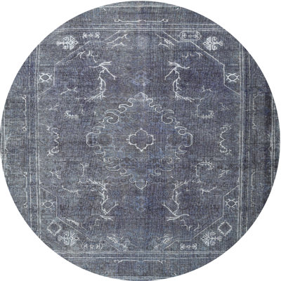 Aimee-Mae Oriental Indoor Rug