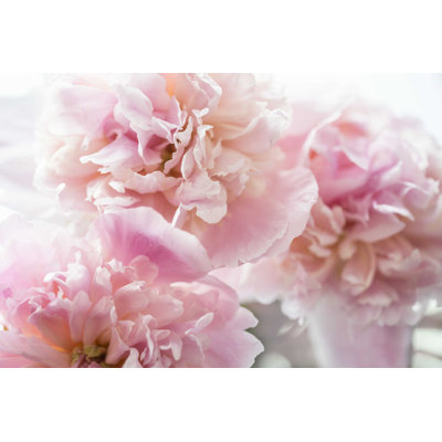" Peonies " by Birgitkorber