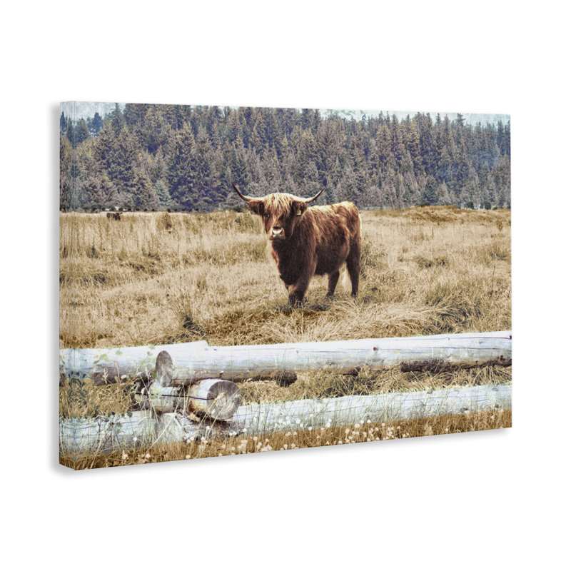 Toile de campagne avec clôture par Gail Peck, H 20 po x l 30 po