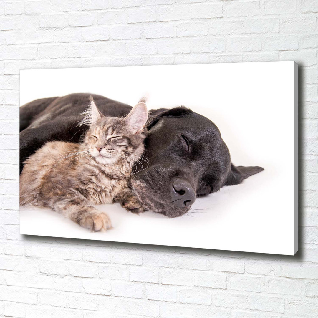 Hund mit Katze - Kunstdrucke auf Leinwand - Wrapped Canvas