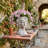 Bethea Pot Planter-1866162661-1858841797