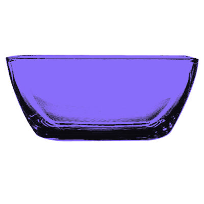 Polycarbonate Bowl - 6 Pieces