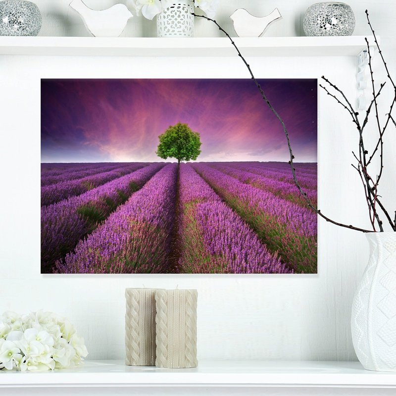 « lavande field coucher de soleil avec simple tree », reproduction de photo sur toile tendue, H 36 po x l 46 po x P 1,5 po