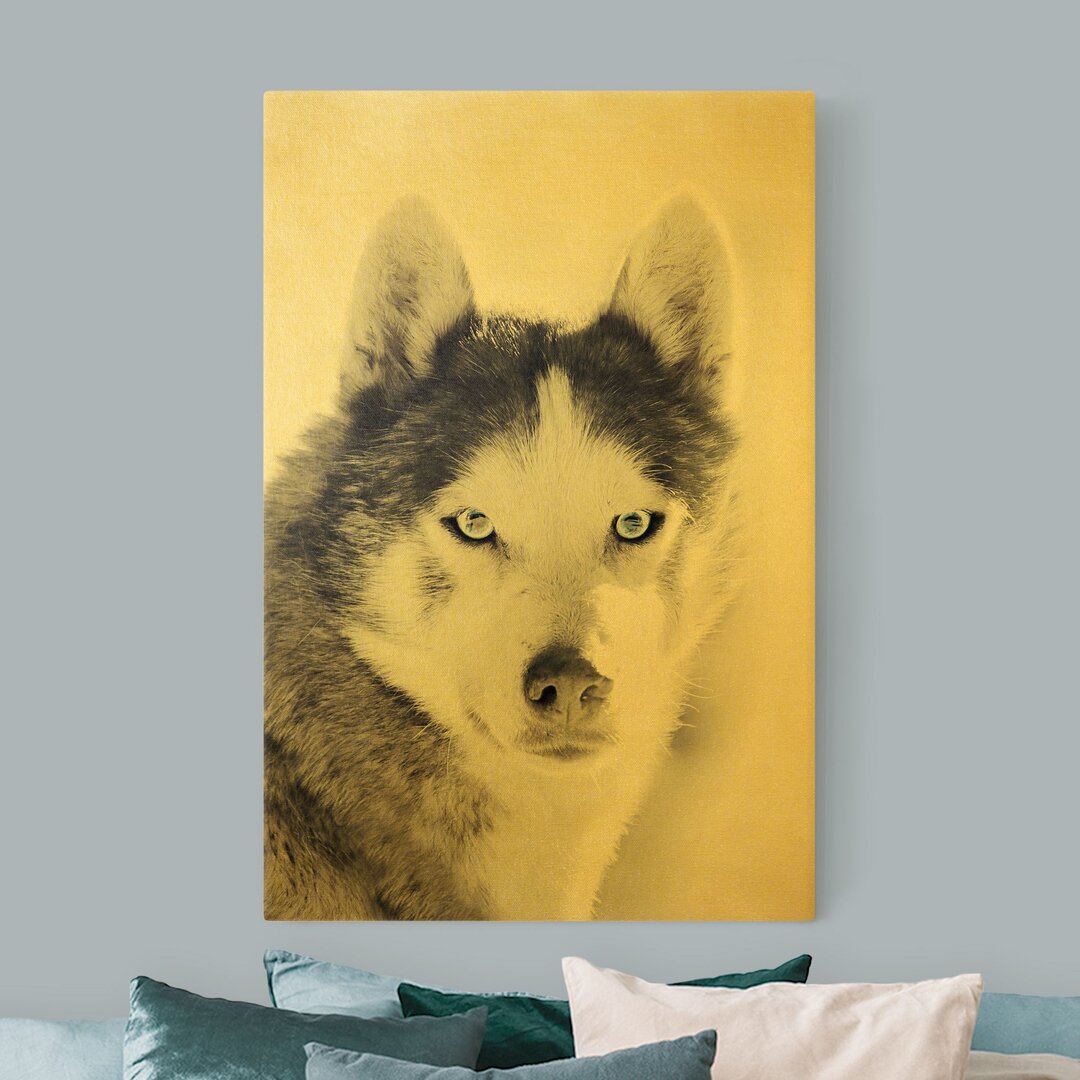 Leinwandbild Husky