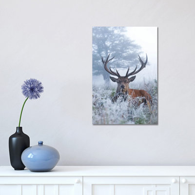 Frosty Stag by Max Ellis - Wrapped Canvas Painting