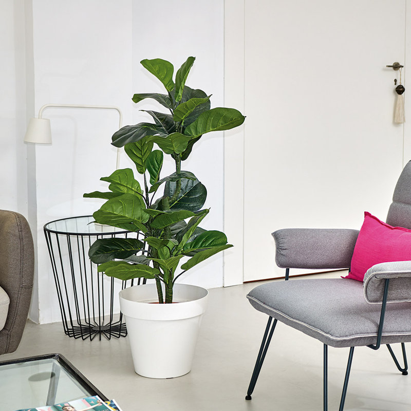 122 cm H Faux Ficus Tree Plant in Plastic Pot