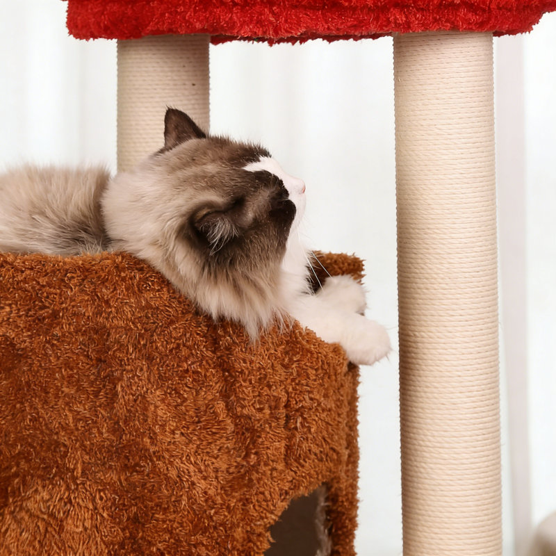 Structure d'escalade créative pour chat