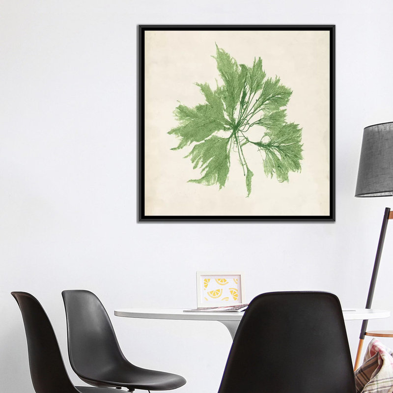 « péridot algues i », reproduction d’impression sur toile tendue, H 18 po x l 18 po x P 1,5 po, Toile avec cadre noir