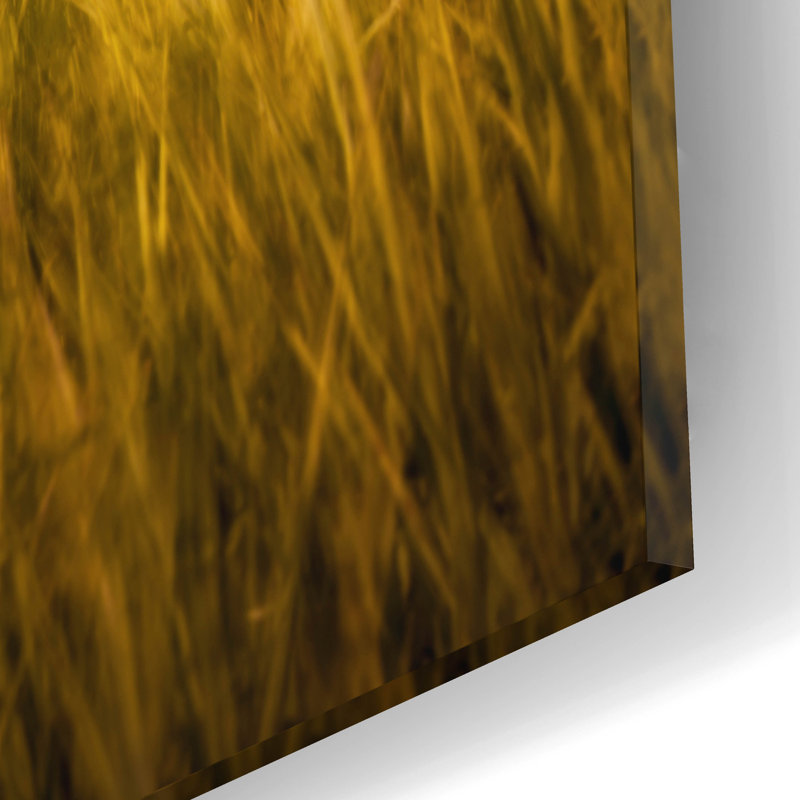 «Barn Sunset 1» par Joe Reimer, H 12 po x l 16 po x P 0,13 po