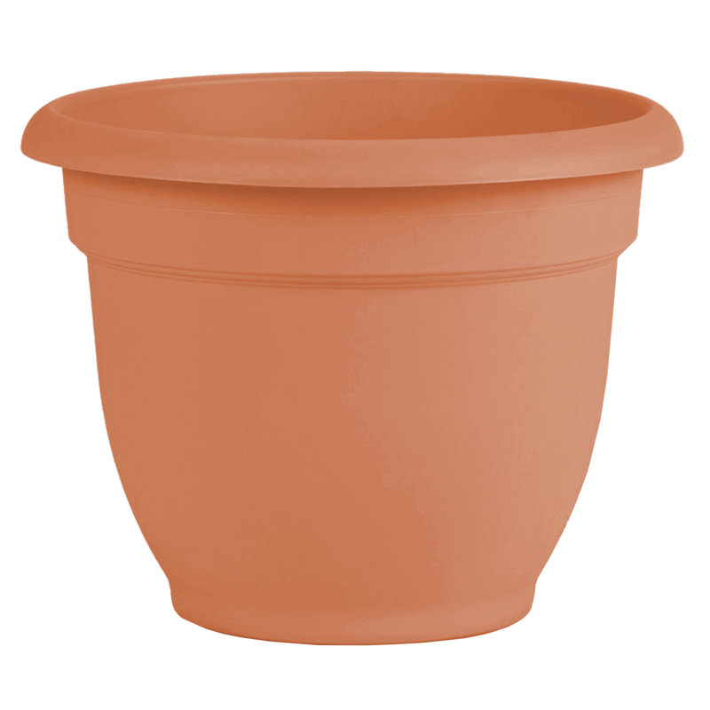 Pot à fleurs intérieur / extérieur Traditional, Vert vif, H 17 po x l 21,5 po x P 21,5 po