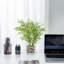 2 - Piece Artificial Plant Set
