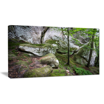 « profonde forest », reproduction de photo sur toile tendue