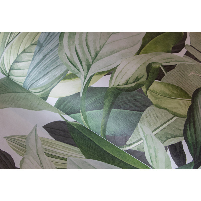 Priode A Tropical Forest Design 4-Panel Wall Mural 2.7m height x 280cm width, Coconut