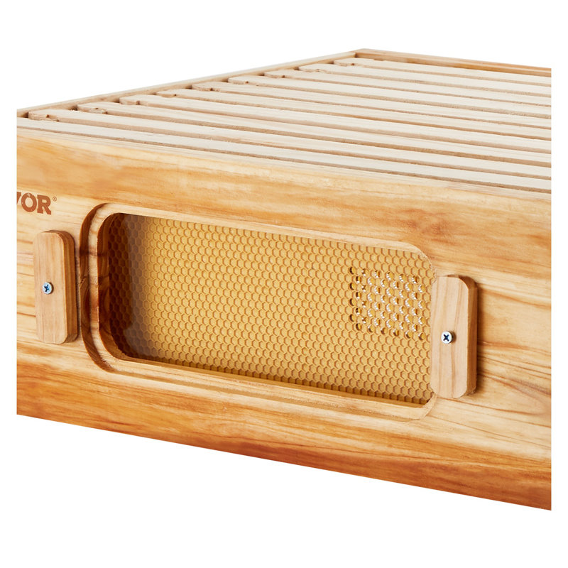 Ensemble de ruche à abeilles de qualité supérieure en cèdre Langstroth - ensemble de démarrage 40 cadres avec cadres enduits de cire d'abeille et fenêtres d'observation