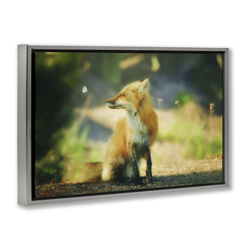 «Fox Kit & Butterfly» par Carrie Ann Grippo-Pike, Cadre flottant gris lustré, H 17 po x l 25 po