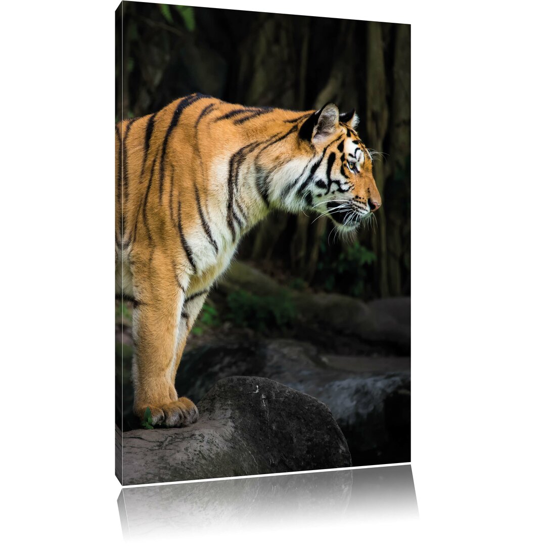 Leinwandbild Tiger, Fotodruck