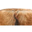 Yellow Pine 33cm Wide Tufted Round Animal Print Standard Ottoman