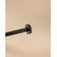 Harrigan Wall Mounted Toilet Paper Holder