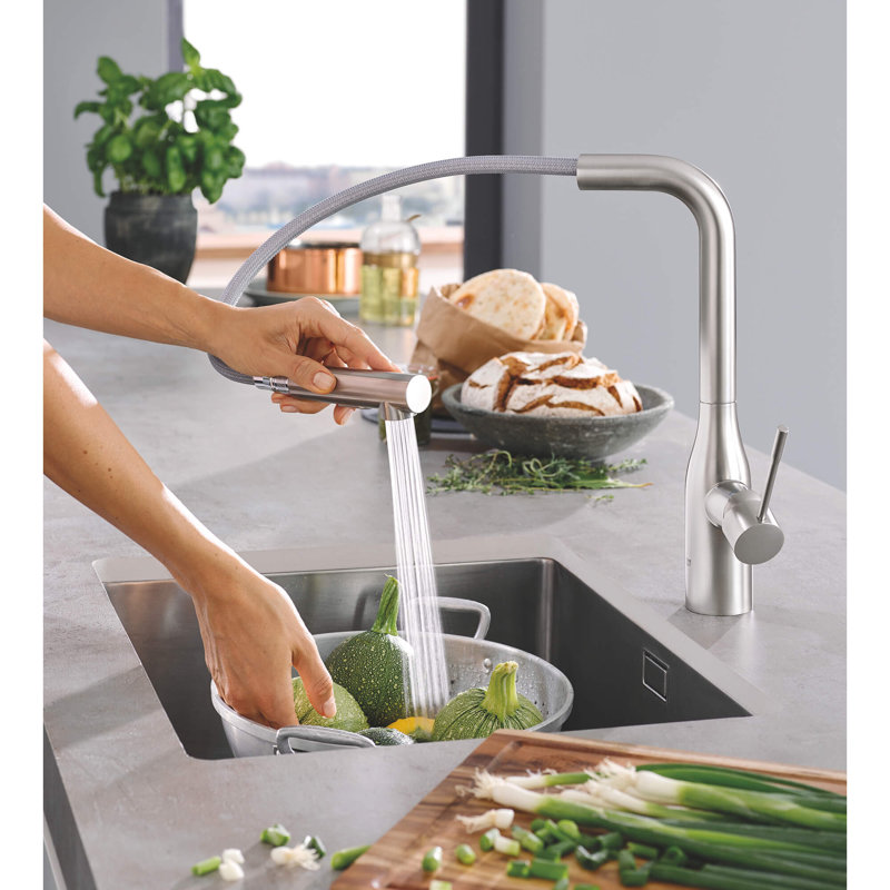 Essence Pull Out Single Handle Kitchen Faucet with Accessories, Super Steel Infinity