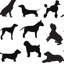Dog Days Wallpaper Roll by Jamie Graney-125040579