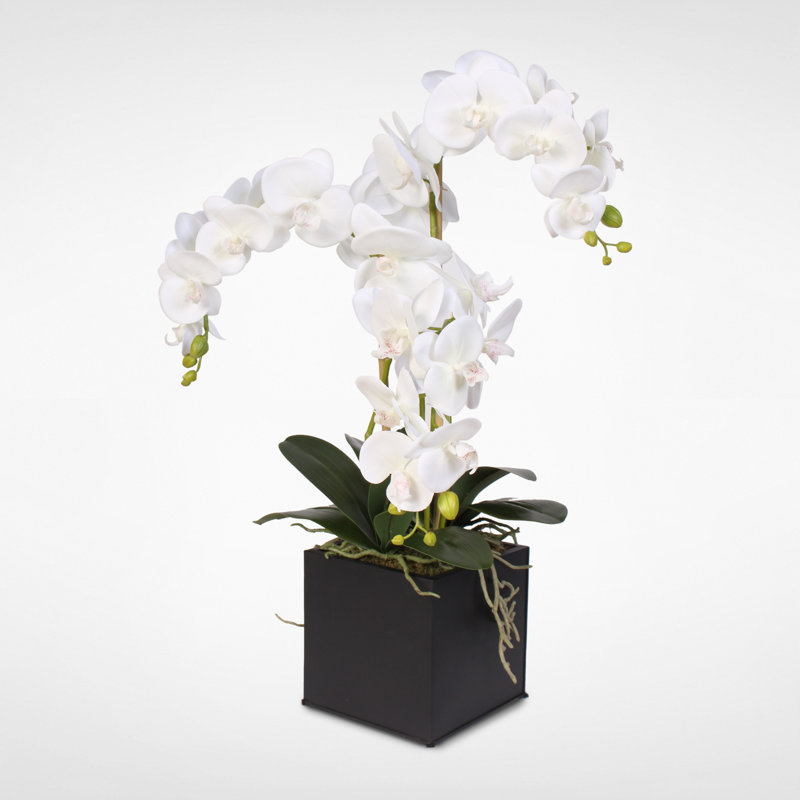 Arrangement floral phalaenopsis en soie orchidées dans un pot de fleurs