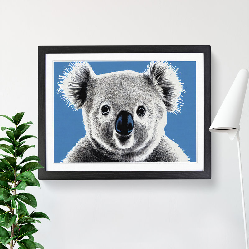 Alluring Koala Bear - Single Picture Frame Print, 34cm H x 46cm W x 2cm D, Black