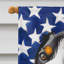 Polyester à 2 côtés 28 x 40 po drapeau maison-1879433958