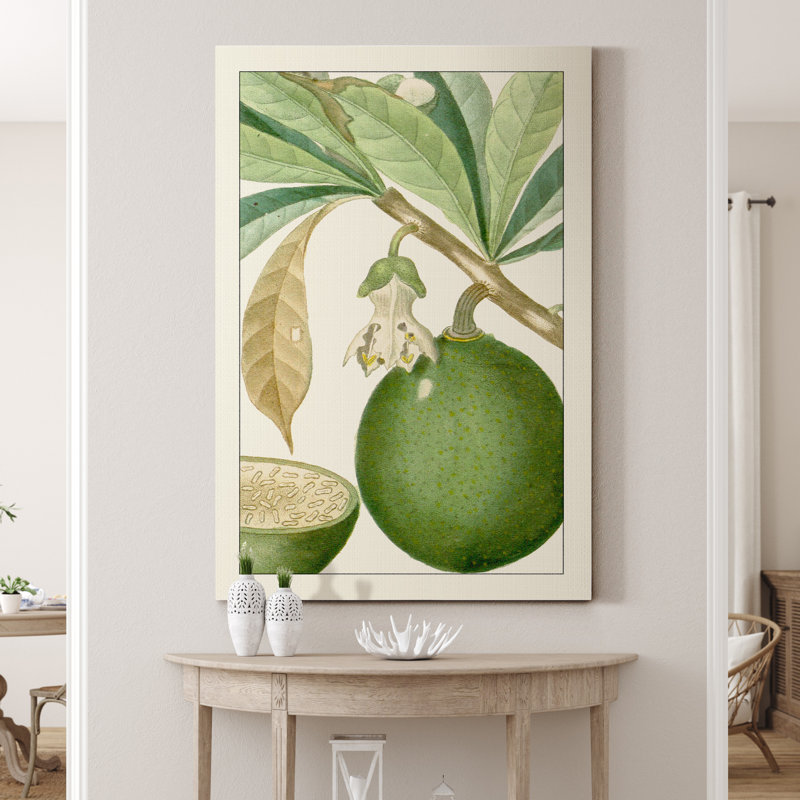 « Turpin Exotic Botanical VIII », reproduction d’art sur toile tendue, H 27 po x l 18 po x P 1 po