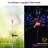 2 pcs Solar Firework Lights Trees-68149659