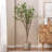 Artificial Milan Leaf Bonsai-797083641