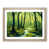 Oak Framed
